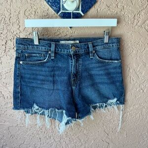 Hudson Jeans Women's Distressed Blue Jean Shorts